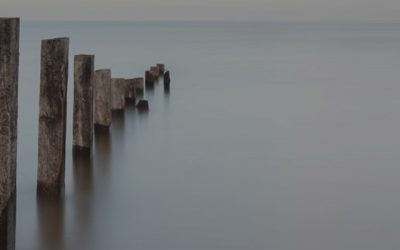 Exploring the Dynamics of Attachment in Adult Life™