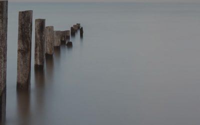 Exploring the Dynamics of Attachment in Adult Life™