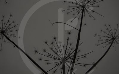 NERC Working with your inner child in therapy to facilitate Psychological healing